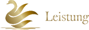 Leistung